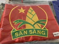 Cờ Đội TNTP Hồ Chí Minh