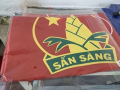 Cờ Đội TNTP Hồ Chí Minh