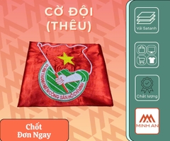 Lá cờ Đội TNTP HCM (thêu)