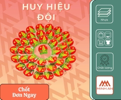 Huy hiệu Đội TNTP Hồ Chí Minh
