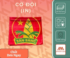 Cờ Đội In