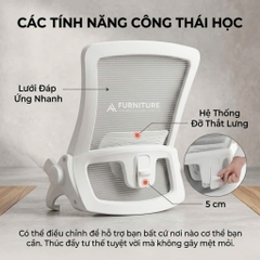 Ghế Xoay Văn Phòng Lưng Lưới DBS - Ghế Làm Việc Công Thái Học Cao Cấp, Tay Nâng Linh Hoạt | Nội Thất Anh Hoàng