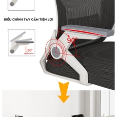 Ghế Văn Phòng, Ghế Lưng Lưới Công Thái Học Ergonomic Thông Minh Hỗ Trợ Giảm Đau Mỏi Lưng | 401 Đen | Nội Thất Anh Hoàng