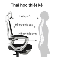 Ghế Xoay Văn Phòng 2 In 1 Màu Đen, Ghế Công Thái Học, Ghế Game Tựa Đầu 3d, Lưng Ghế Có Thể Ngả 145° | 006 | Nội Thất Anh Hoàng