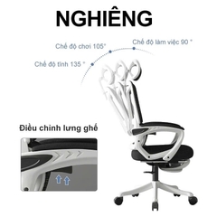 Ghế Xoay Văn Phòng 2 In 1 Màu Xám, Ghế Công Thái Học, Ghế Game Tựa Đầu 3d, Lưng Ghế Có Thể Ngả 145° | 006 | Nội Thất Anh Hoàng