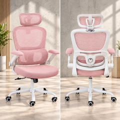 Ghế Xoay Văn Phòng Công Thái Học N30 Beige Form Rộng Châu Âu, Thiết Kế Tùy Chỉnh Các Bộ Phận Hỗ Trợ Tư Thế Ngồi Chuẩn