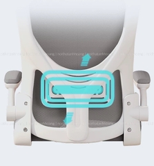 Ghế Xoay Công Thái Học Xoay 360 Tay Chỉnh Thiết Kế Tựa Lưng Chống Đau Lưng | TA01 | Nội Thất Anh Hoàng