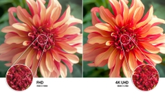 Smart Tivi Samsung 4K 65 inch UA65AU8000