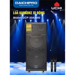 Loa kéo Daichipro 2 bass 40cm chuyên karaoke DCP-30A3000