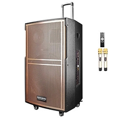 Loa Kéo Di Động Karaoke Bass 50 Daichipro DCP-18Pro