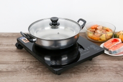 Bếp từ đơn Bluestone ICB-6619