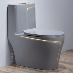 Bồn cầu liền khối Amota LK899