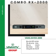 Vang số Vina KTV Cao cấp AM RX2000-V