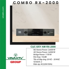 Cục đẩy Vina KTV Cao cấp AM RX2000-D