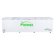 Tủ đông Pinimax Inverter PNM-119AF3 1100 lít
