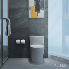 Bồn Cầu Vglacera Platinum P11-320-VG