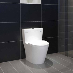 Bồn Cầu Vglacera Platinum P11-320-VG