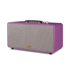 Loa xách tay Avpro cao cấp  S2610