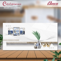 BỘ GẠCH ỐP CATALAN 300X600 CTL36121