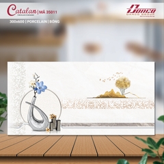 BỘ GẠCH ỐP CATALAN 300X600 CTL35011