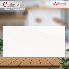 BỘ GẠCH ỐP CATALAN 300X600 CTL35015