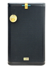 Loa Full Avpro bass 30cm CS12Pro