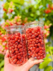 Chùm ruột chanh muối