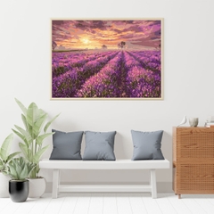 Tranh số hóa Cánh đồng hoa Lavender đã căng khung 40x50cm