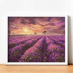 Tranh số hóa Cánh đồng hoa Lavender đã căng khung 40x50cm