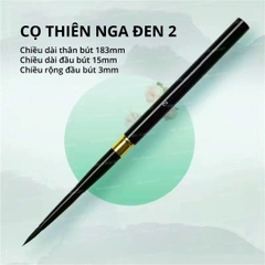 Cọ thiên nga đen - thiên nga 2 đầu tô tranh số hóa, màu nước, acrylic
