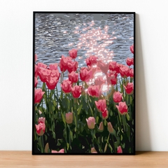 Tranh số hóa Hoa Tulip đã căng khung 40x50cm