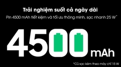 Điện thoại Samsung Galaxy S20 FE 8GB/256GB (Xanh Lá, Xanh Dương)