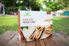 Sâm dây Ngọc Linh