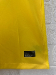 Retro Brazil 2021 ( Sân Nhà )