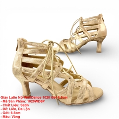 Giày Latin Nữ WellDance 1020 Gót 6.5cm (1020WD6P) - Vàng