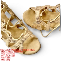 Giày Latin Nữ WellDance 1020 Gót 6.5cm (1020WD6P) - Vàng
