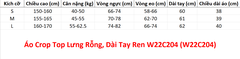 (WJJDance) Áo Crop Top Lưng Rỗng, Dài Tay Ren W22C204 (W22C204) - Đen + Size