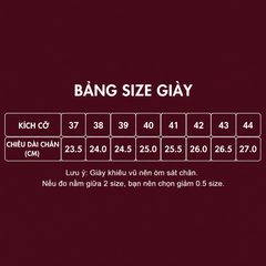 Giày Latin Nam DF Dance 202 (202DF) - Trắng + Size