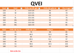 Bộ QVei Latin Bé Trai (2268+2265+4001) + Size