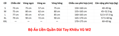 (YJFY Dance) Bộ Áo Liền Quần Dài Tay Khiêu Vũ W2 (W2) - Đen + Size