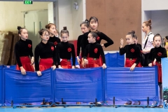 (VNHH) Váy Nhung Đen Đỏ Gắn Hoa Hồng