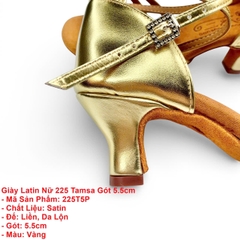 Giày Latin Nữ 225 Tamsa Gót 5.5cm (225T5P) - Vàng