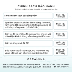 (Một Cặp) Nhẫn Đôi Bạc 925 Freesize Tình Yêu True Love - VYR01 & VYR02