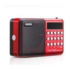 LOA THẺ NHỚ T853 , CÓ BLUETOOTH CÓ FM CÓ ĂNGTEN