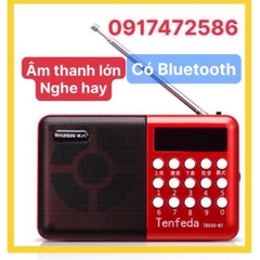 LOA THẺ NHỚ T853 , CÓ BLUETOOTH CÓ FM CÓ ĂNGTEN