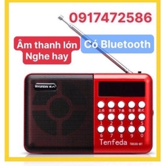 LOA THẺ NHỚ T853 , CÓ BLUETOOTH CÓ FM CÓ ĂNGTEN