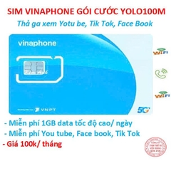 Sim Vinaphone các gói cước combo chuyên thoại, data và mạng xã hội : Tik tok, You tube, Face book, chỉ có tại Kim Ánh