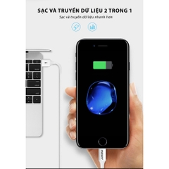 Dây sạc Pisen ( MU03-1000) chân cắm Micro, dòng điện 2A, dây dài 1 mét - Hàng chính hãng nội địa