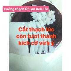 Thạch dừa thô nguyên tấm Size tiêu chuẩn 33x25, dầy 2.5-3 cm dùng nấu chè, trà sữa, nấu thạch dừa cho bé ăn