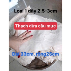 Thạch dừa thô nguyên tấm Size tiêu chuẩn xuất khẩu 1 kg (3 tấm 33x25, dầy 4.5 cm ) dùng nấu chè, trà sữa, mồi câu mực lá